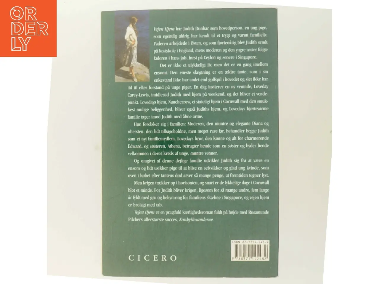 Billede 3 - Vejen hjem af Rosamunde Pilcher (Bog)