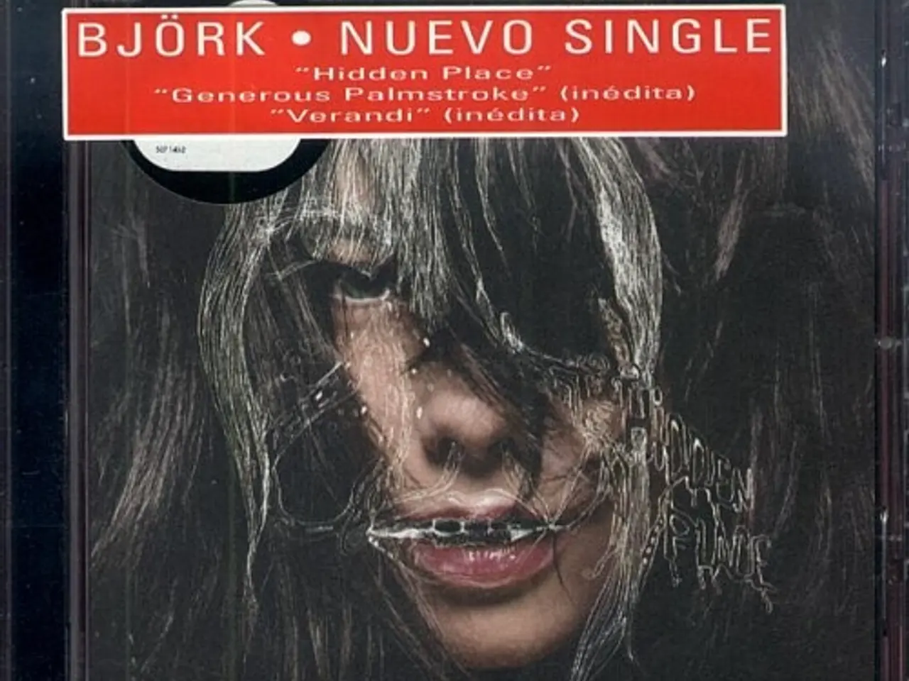 Billede 7 - Björk – Hidden Place – CD