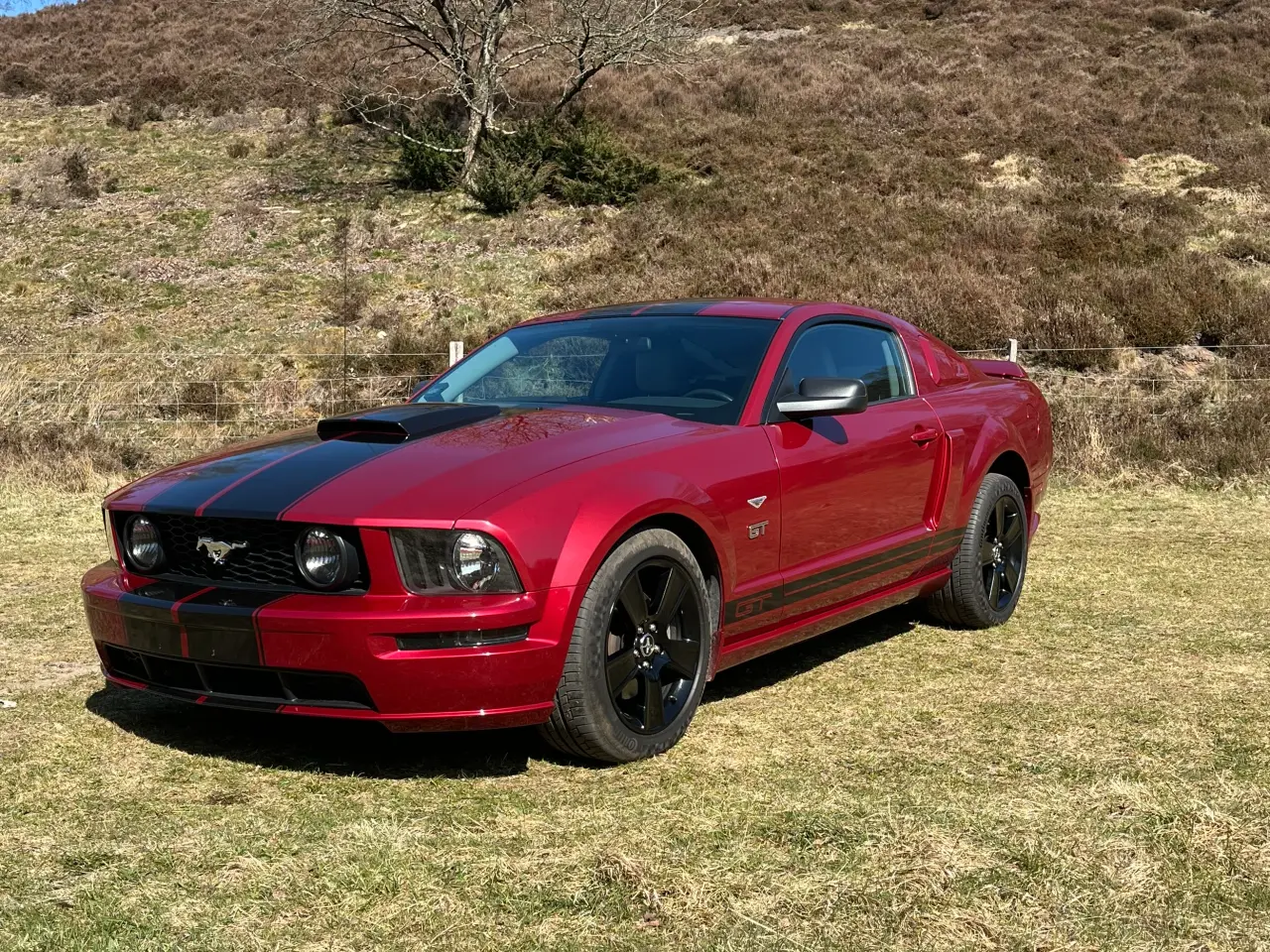 Billede 1 - Ford Mustang GT V8