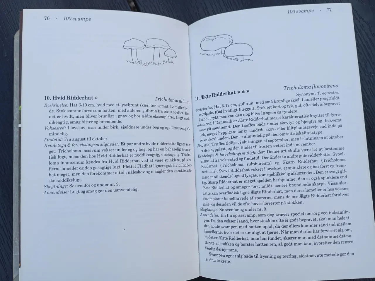 Billede 8 - Svampe i vor natur
