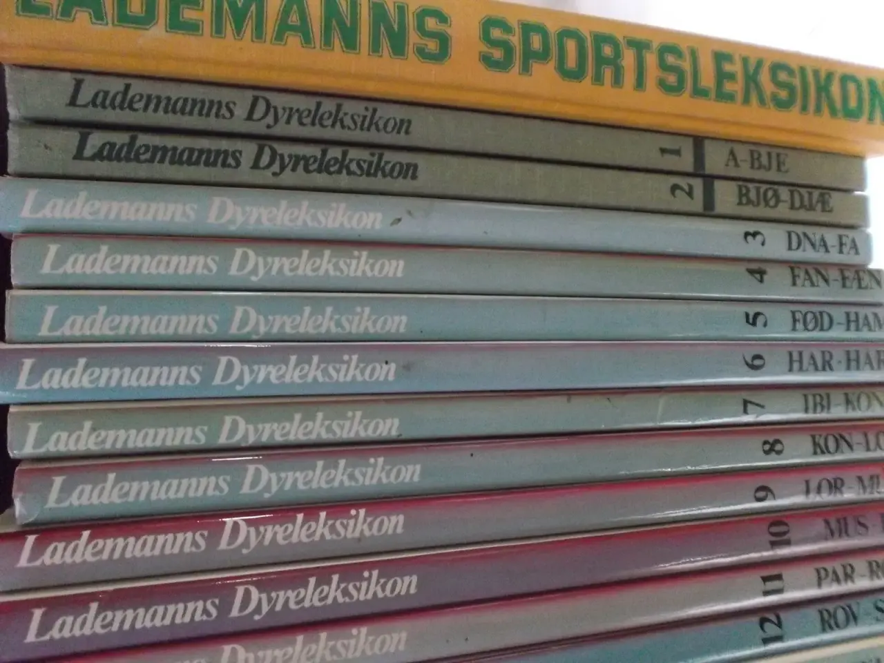Billede 1 - Dyre Leksikoner 16 ialt