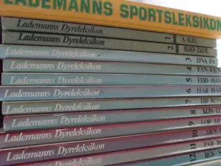 Dyre Leksikoner 16 ialt
