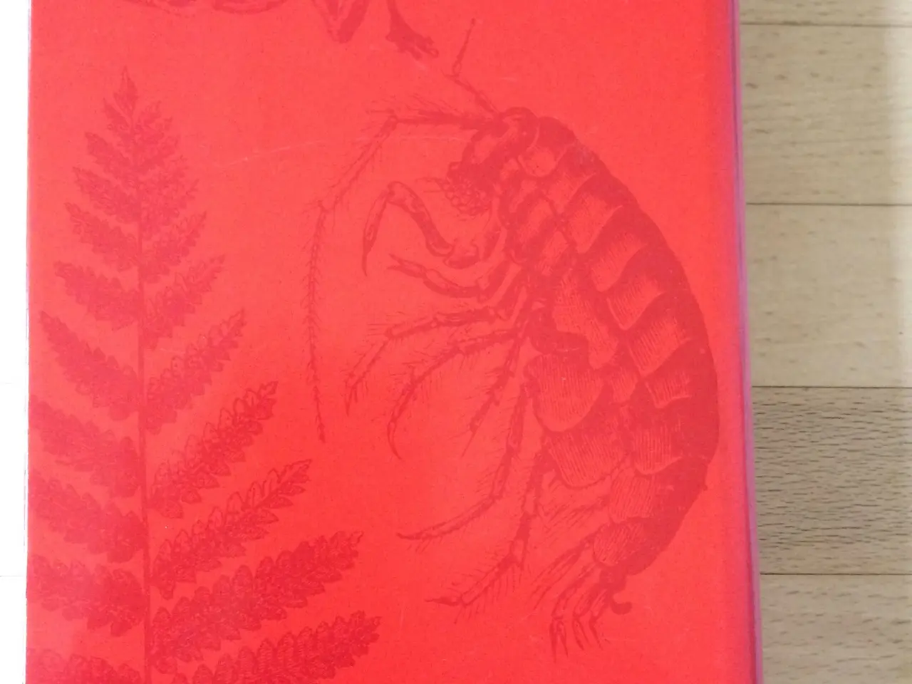 Billede 2 - Maya, Jostein Gaarder