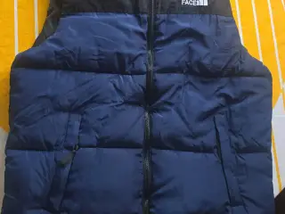 The north face vest