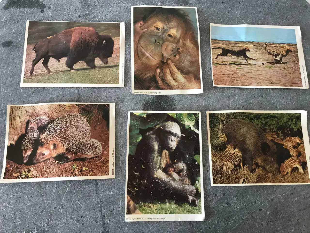 Billede 1 - 6 stk ESSO samlealbum klistermærker