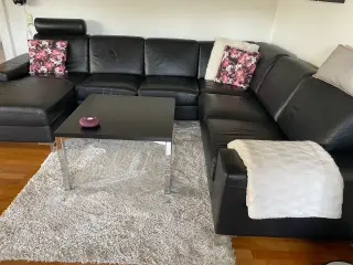Stor lædersofa med sofabord og gulvtæppe