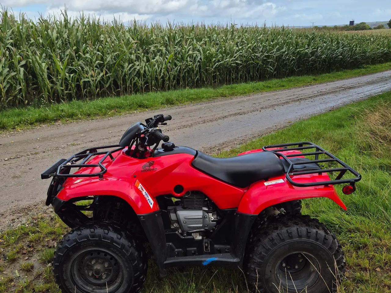 Billede 7 - Honda TRX250 2019