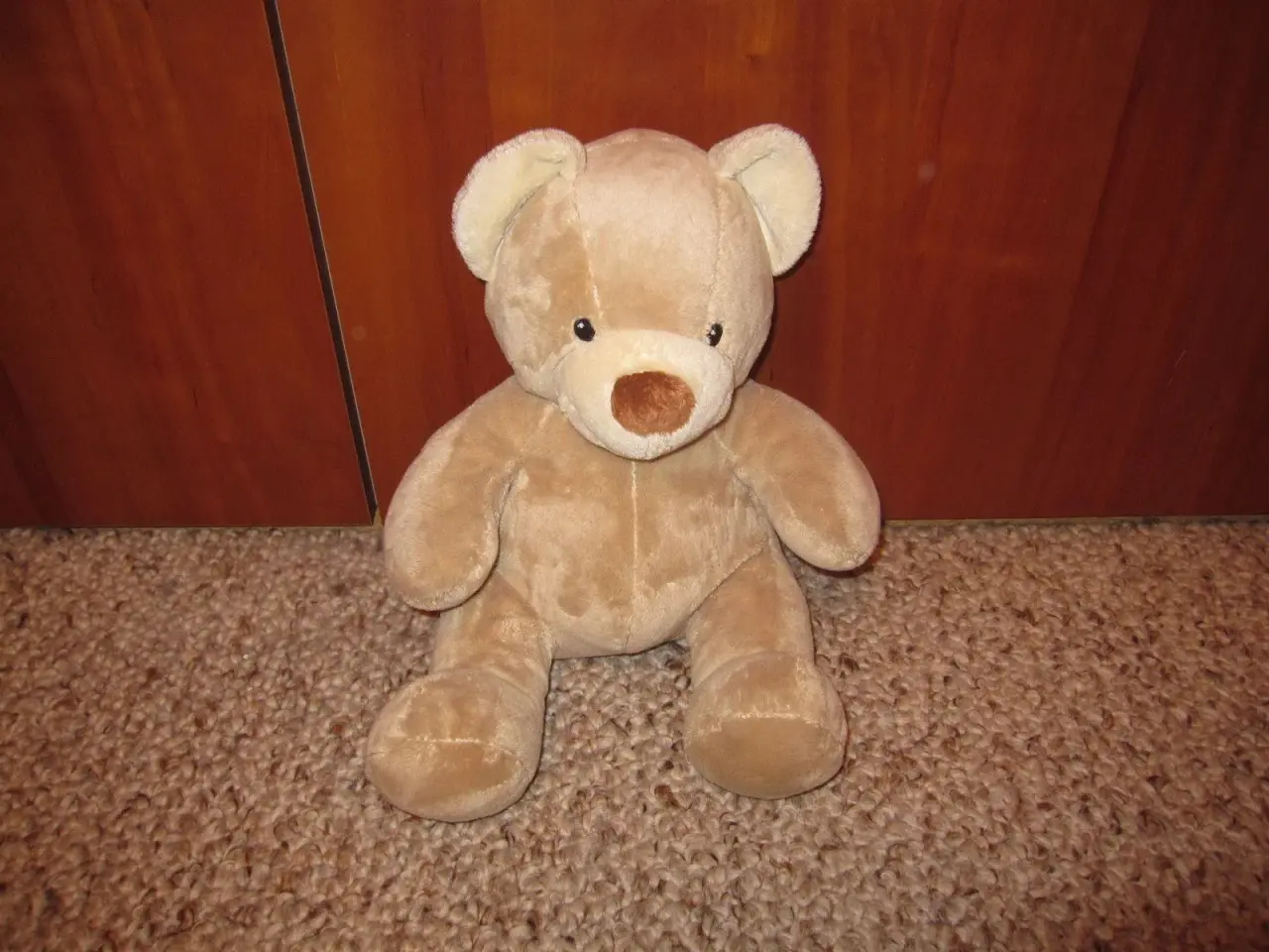Billede 1 - Buil a Bear, bjørn
