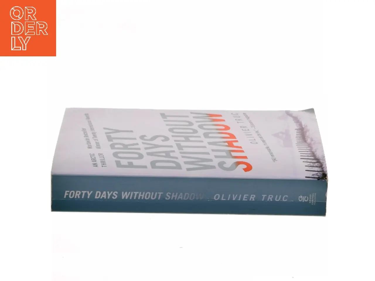 Billede 2 - Forty Days Without Shadow af Olivier Truc (Bog)