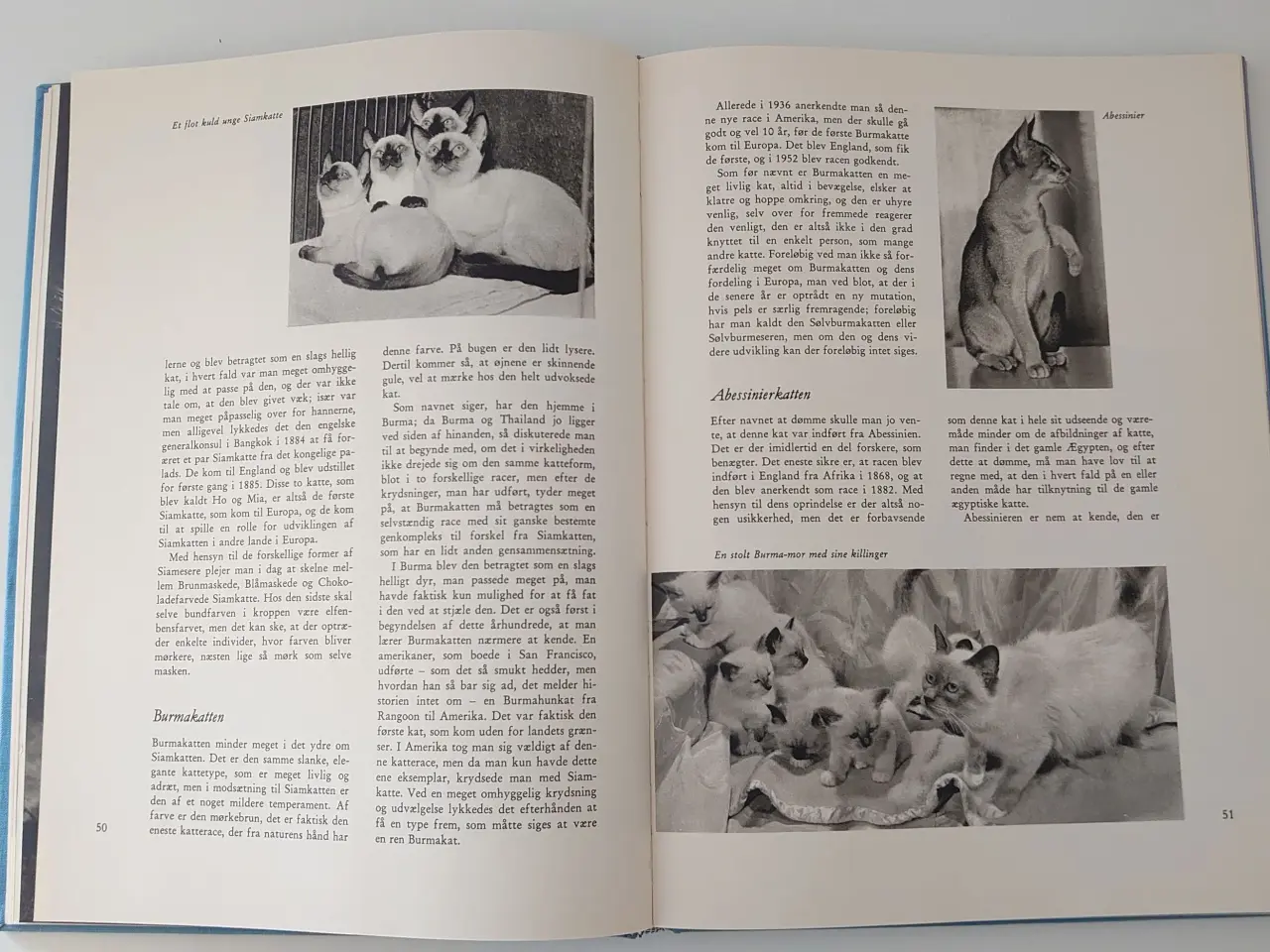 Billede 2 - Ingvald Lieberkind: Min ven Katten. Udg. DK 1969.