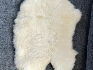 Kaninskind