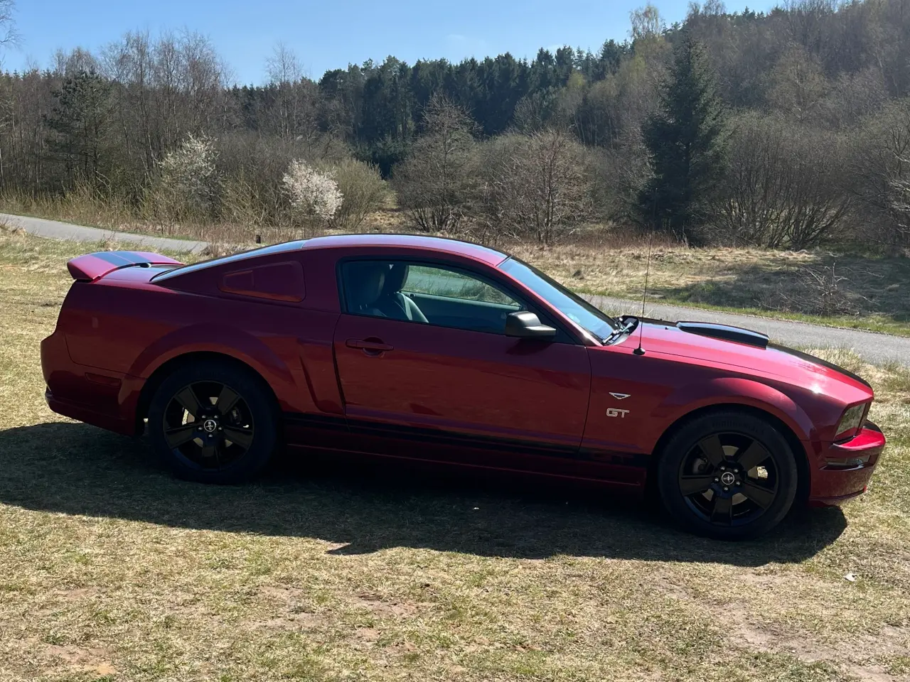 Billede 4 - Ford Mustang GT V8