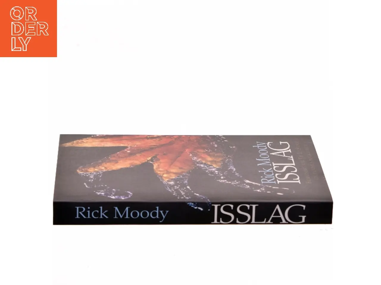 Billede 2 - Isslag af Rick Moody (Bog)