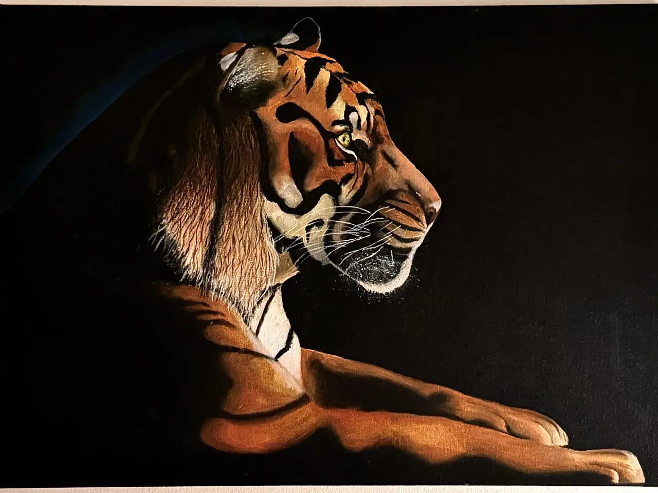 Billede 1 - 🐅Den Majestætiske Tiger