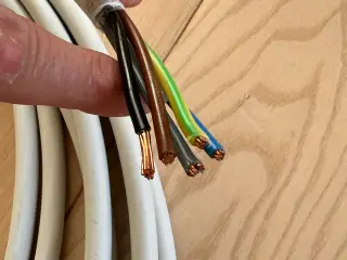Elkabel til ladebox eller cee stik. 10m 5G6.