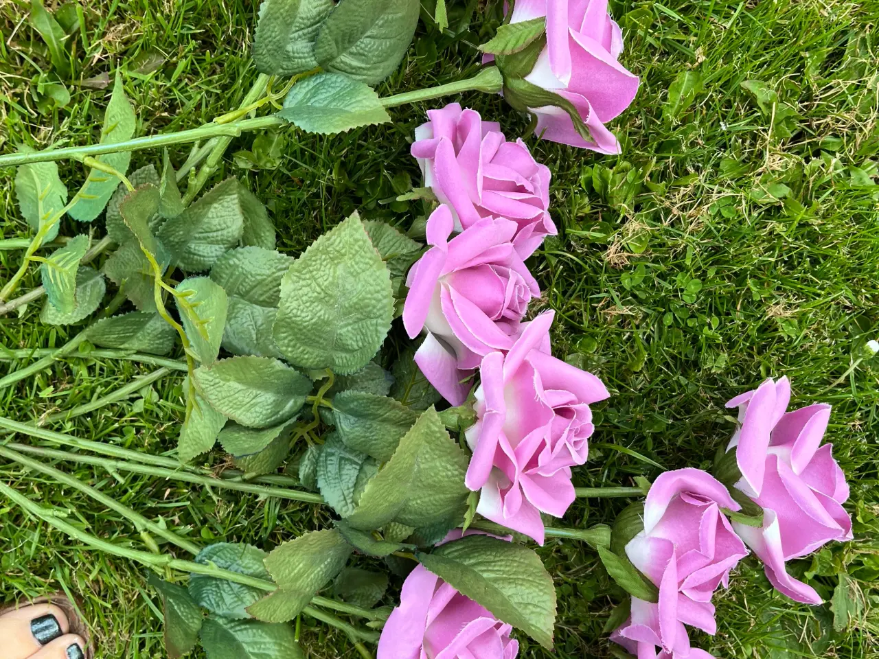 Billede 5 - Blomster - se forskellige billeder