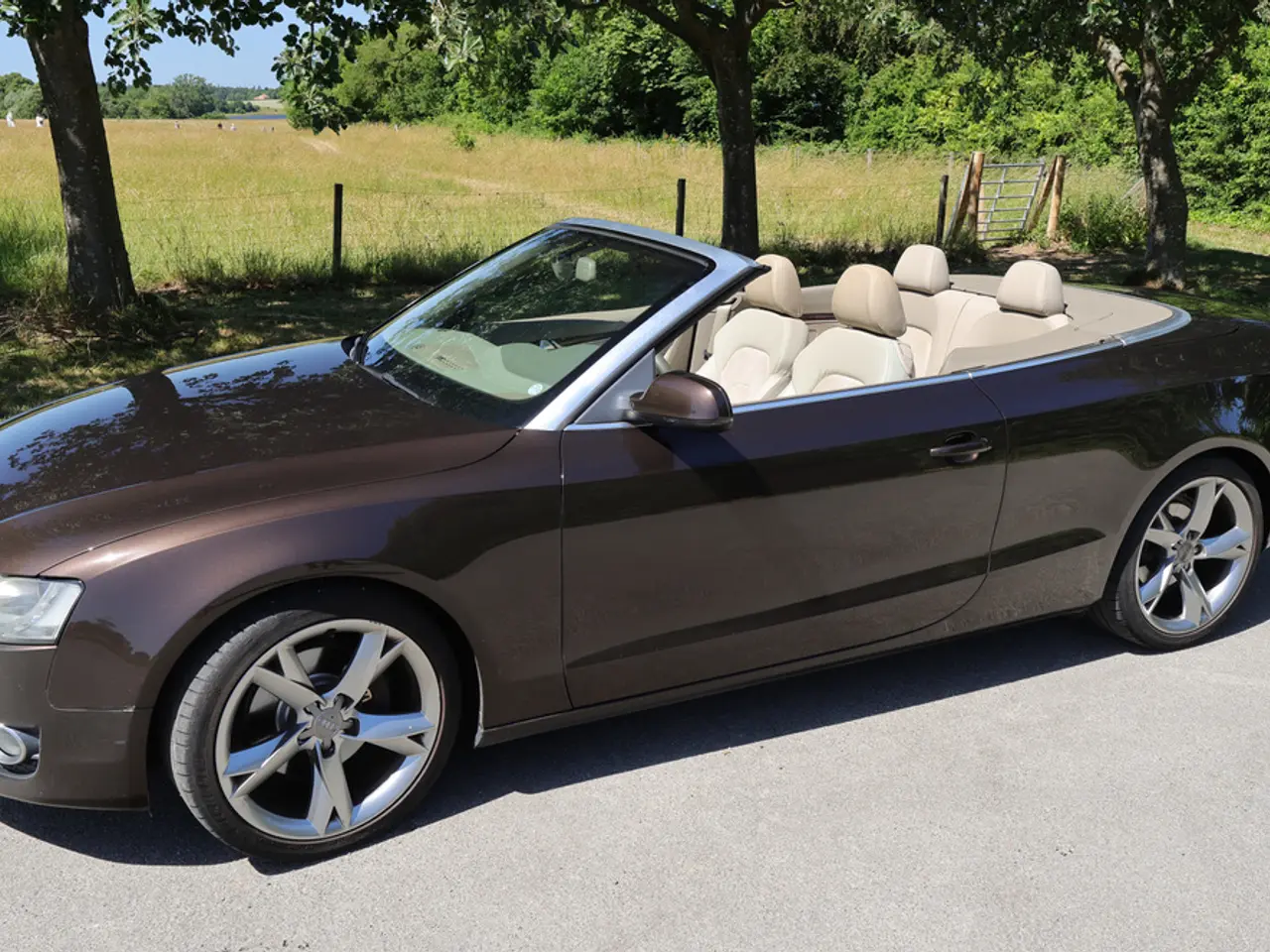 Billede 6 - Audi A5 Cabriolet