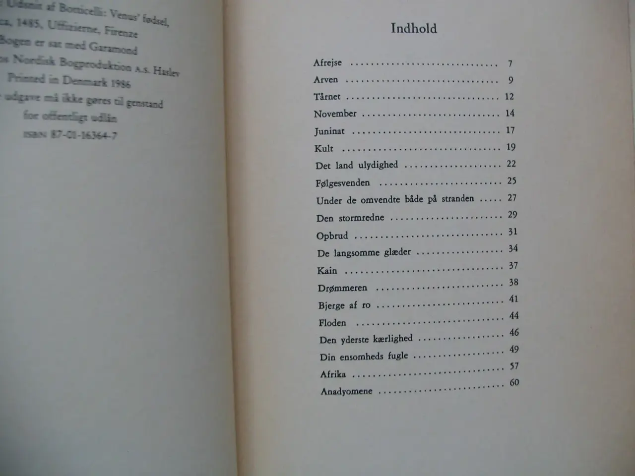 Billede 2 - Cecil Bødker. Anadyomene