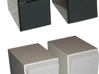 Bang & Olufsen Beovox Cx100/C75