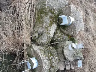 Søjlesko   med beton
