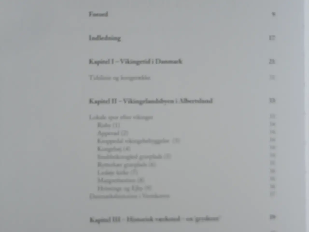 Billede 2 - Vikinge Landsbyen i Albertslund  :