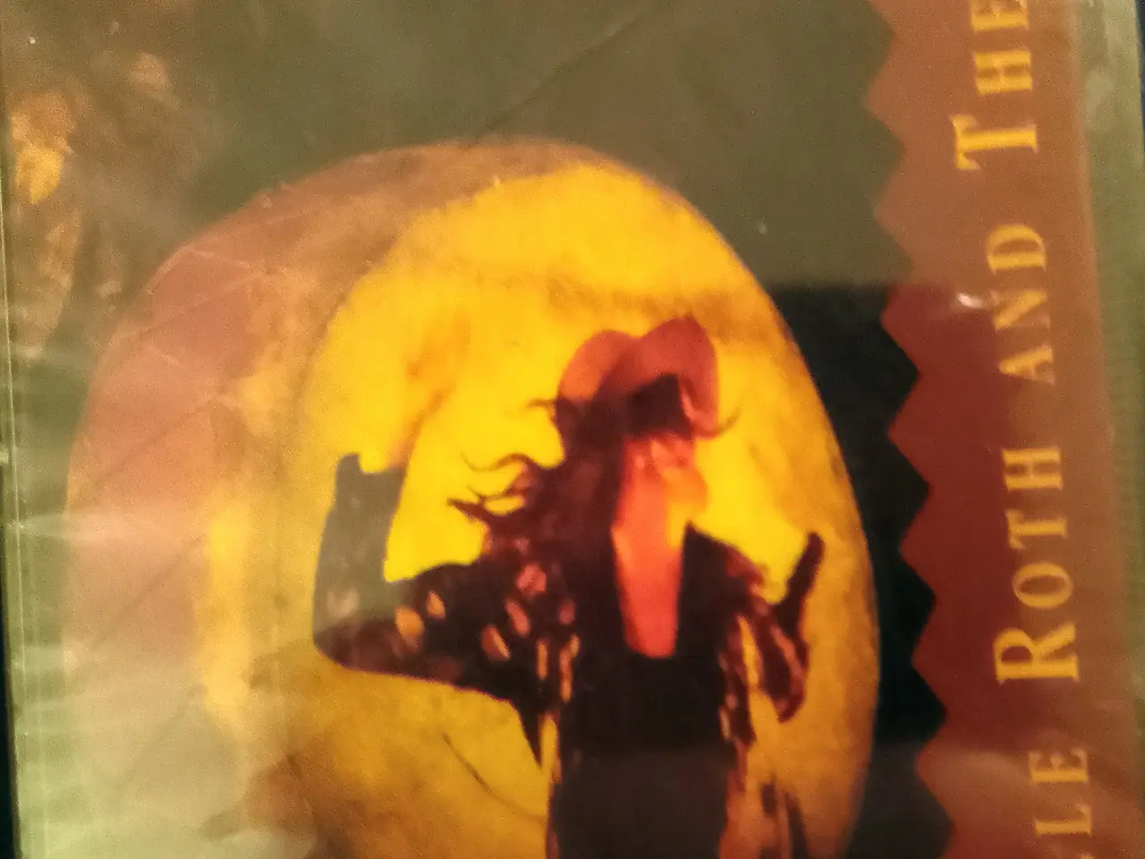 Billede 1 - Gabrielle Roth and The Mirrors: Totem.