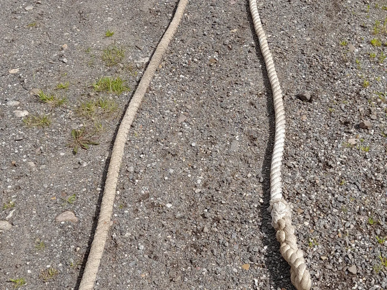 Billede 3 - 24mtr kraftig torv