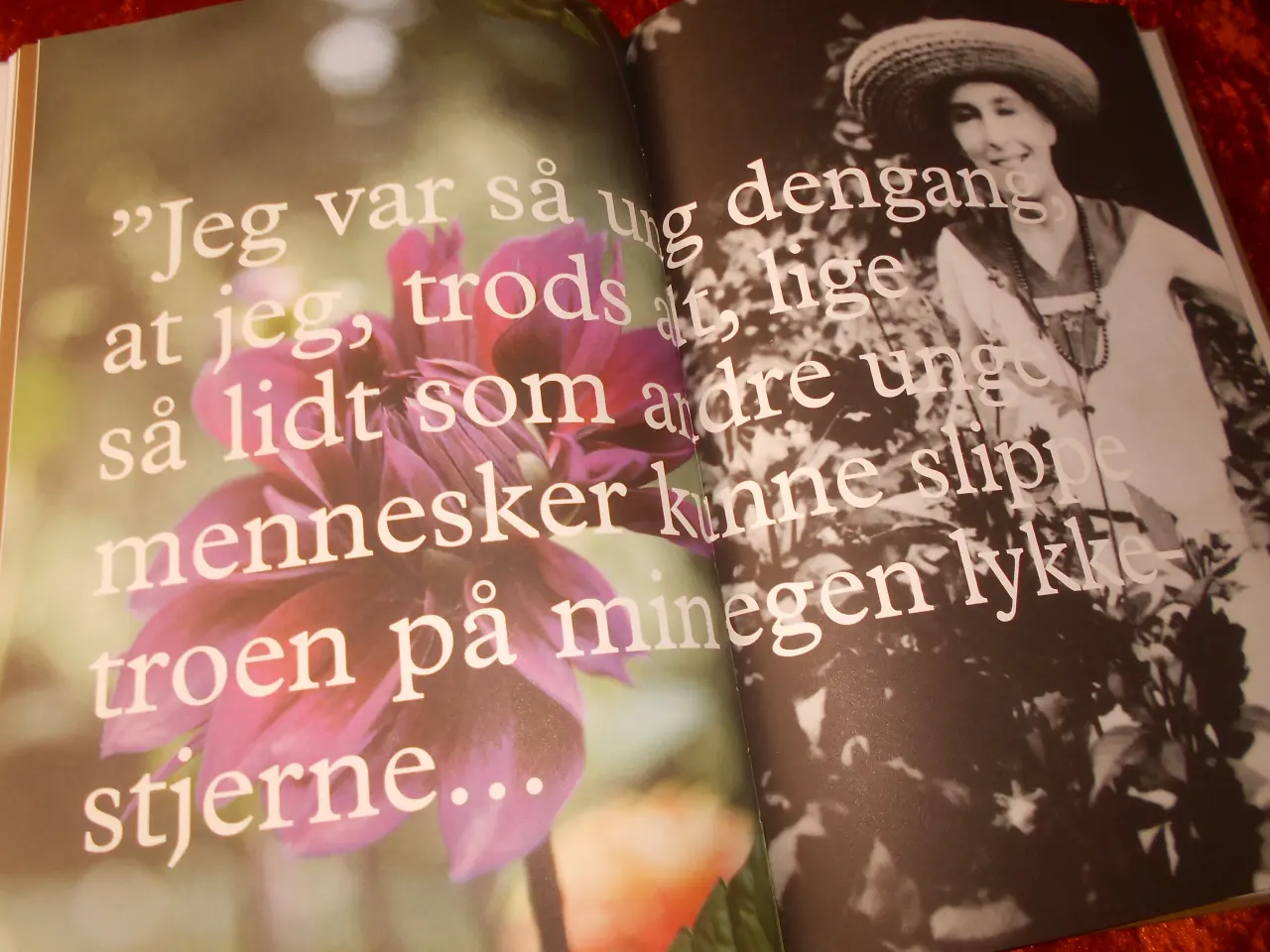 Billede 4 - Blomstersprog, Kurt Rodahl Hoppe