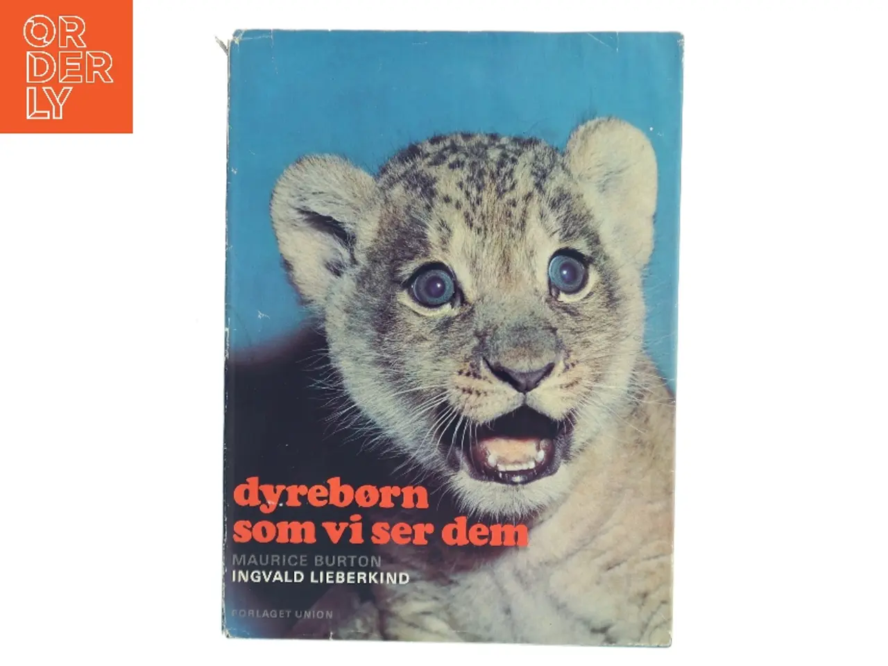 Billede 1 - Dyrebørn som vi ser dem (Bog)