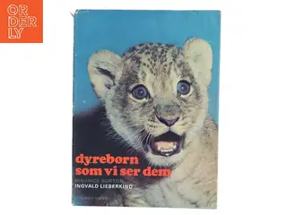 Dyrebørn som vi ser dem (Bog)