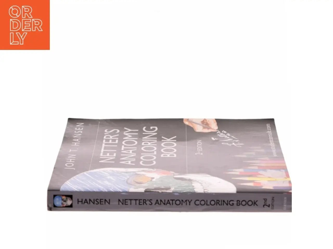 Billede 2 - Netter's Anatomy Coloring Book af John T. Hansen (Bog)