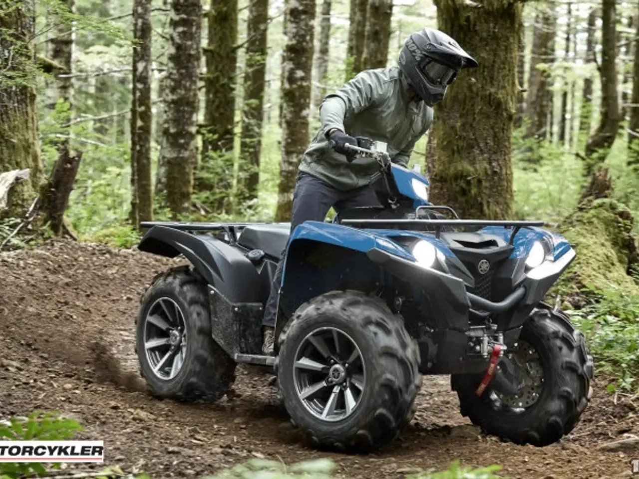 Billede 8 - Yamaha Grizzly 700 EPS ALU SE Traktor