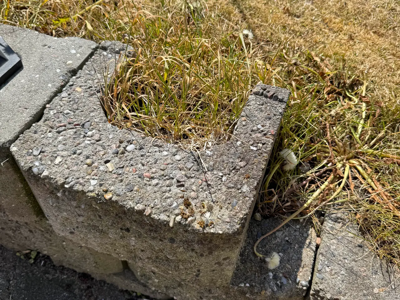 Billede 1 - Kraftig kantsten