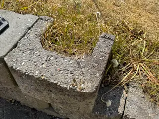 Kraftig kantsten