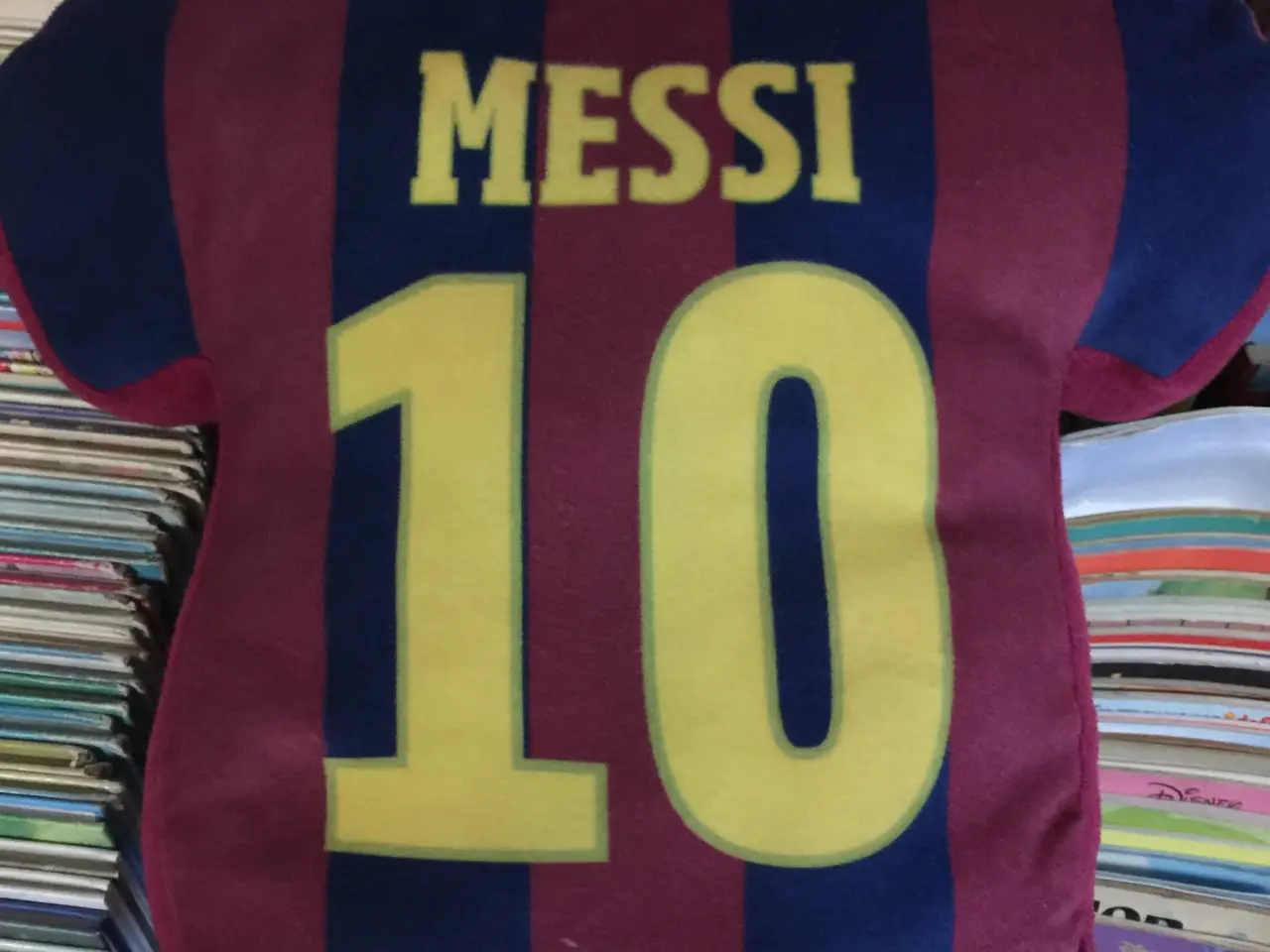 Billede 1 - FCB MESSI pude og penalhus