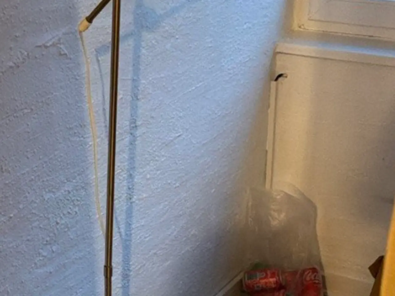 Billede 3 - Dælge på grund af flyttet