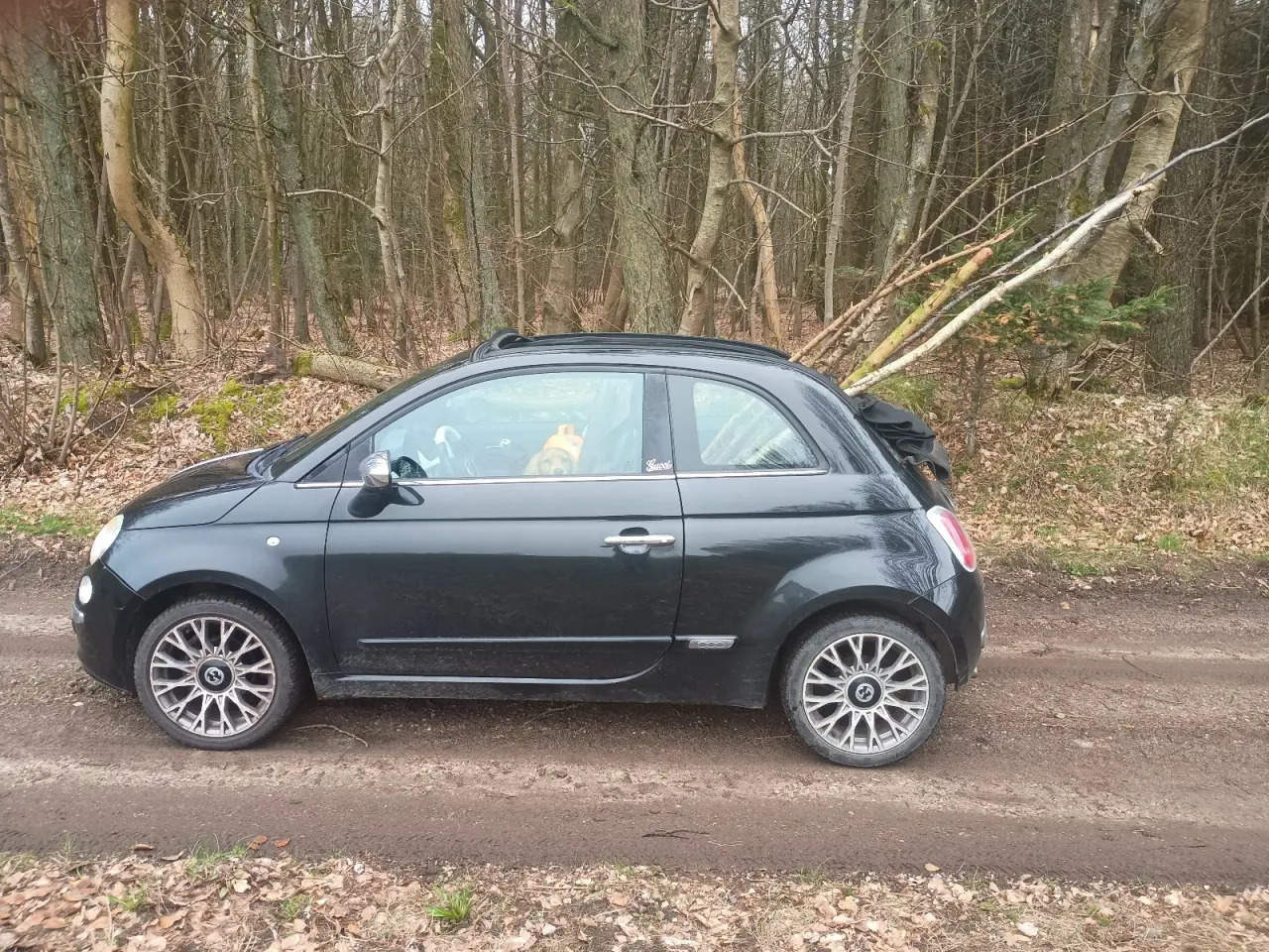 Billede 6 - Gucci rare edition cabriolet fiat 500c
