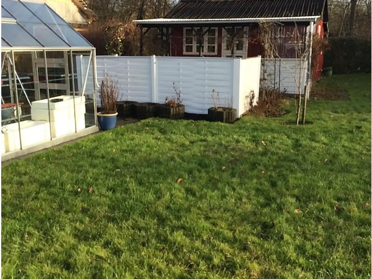 Billede 2 - Skøn kolonihave sælges