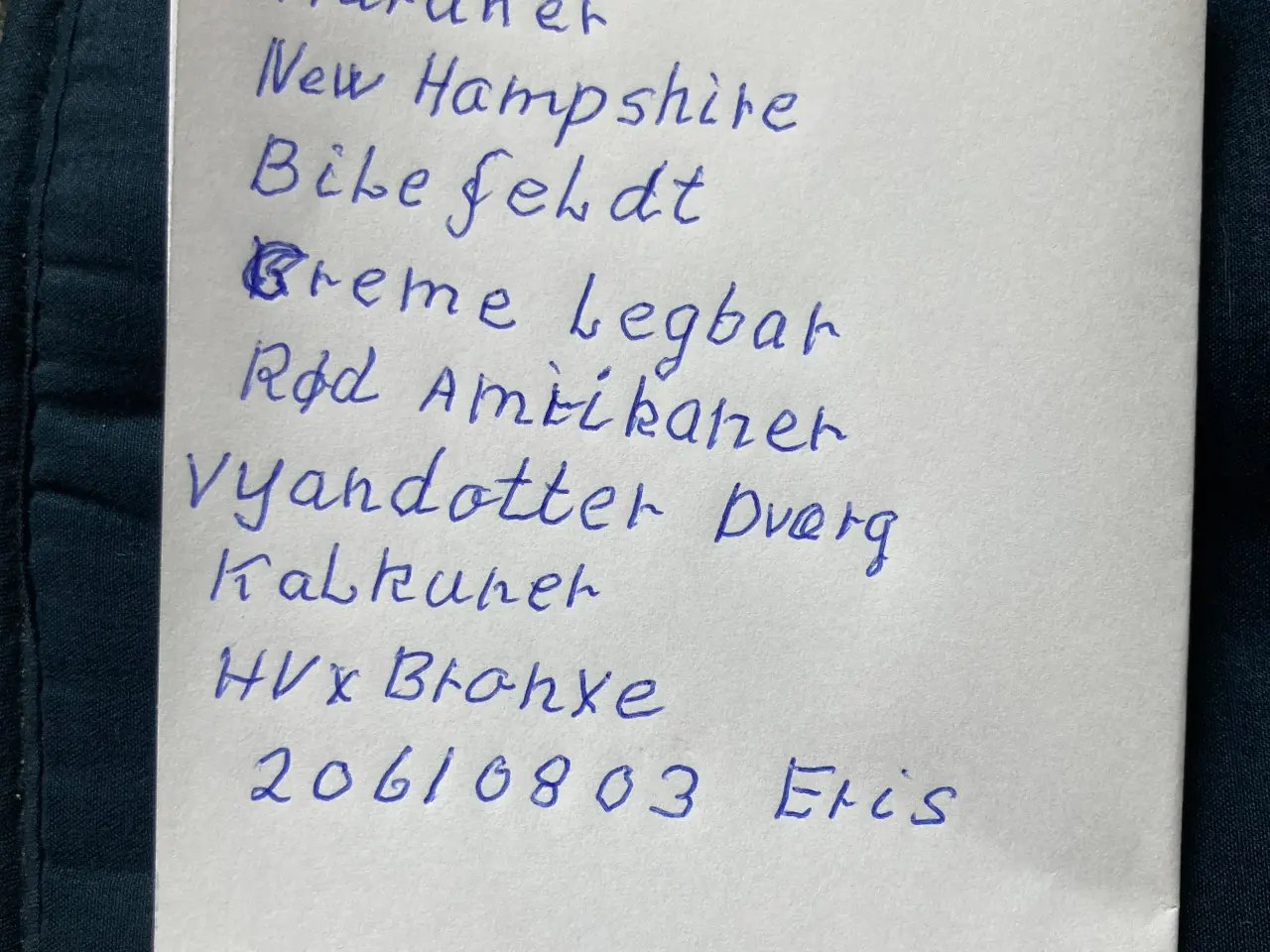 Billede 2 - Daggamle og varme fri kyllinger