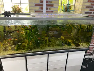 STORT FLOT AKVARIUM PÅ 720 L - DANSK PRODUCERET