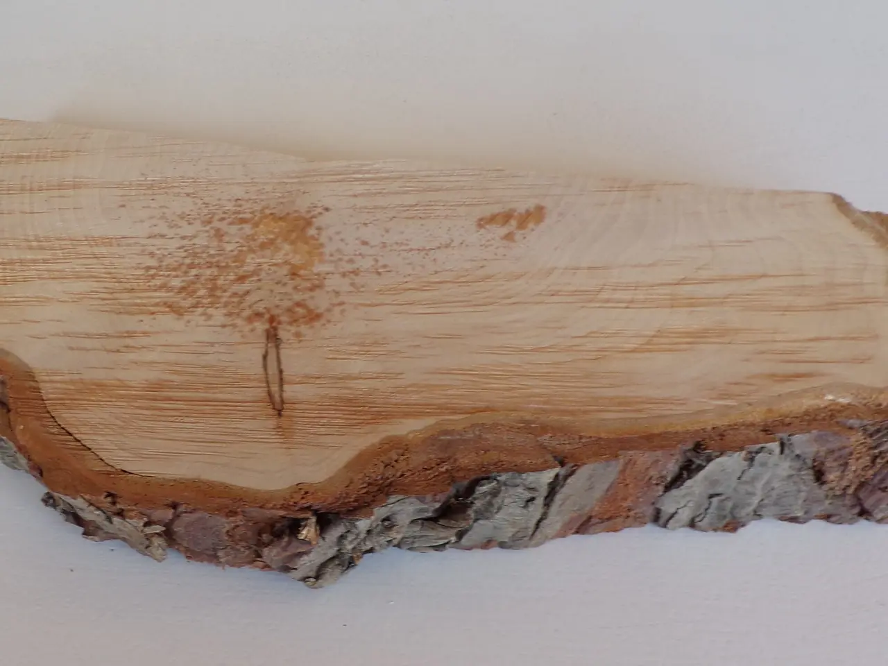 Billede 2 - NY Thuja Træskive 29 cm til kreative projekter