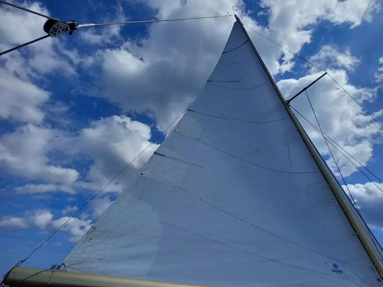 Billede 7 - Bianca 27 - ny Yanmar 3 cylindret - nyere sejl.