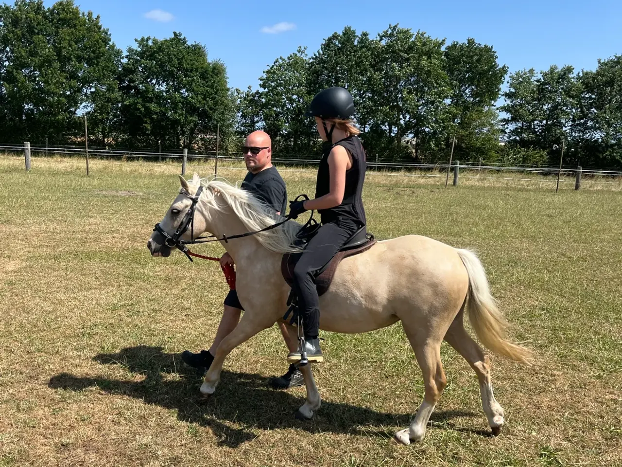 Billede 4 - Skøn pony hoppe med god spring mulighed  