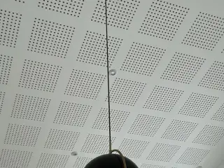 Gubbi lampe 