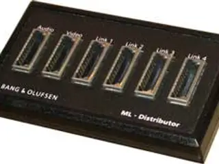 Bang & Olufsen-B&O-Masterlink samler til 6 hunstik