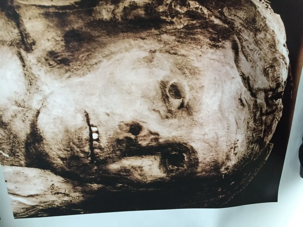 Billede 2 - Plakat Ny Carlsberg "Det sidste ansigt"