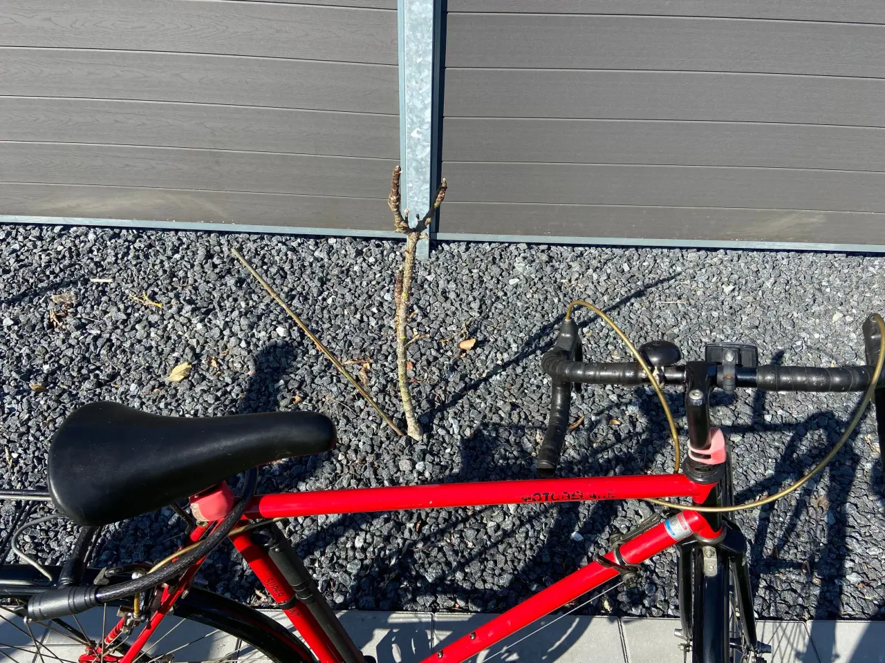 Billede 3 - Motobecane . 28" hjul,  54 cm stel, 12 gear