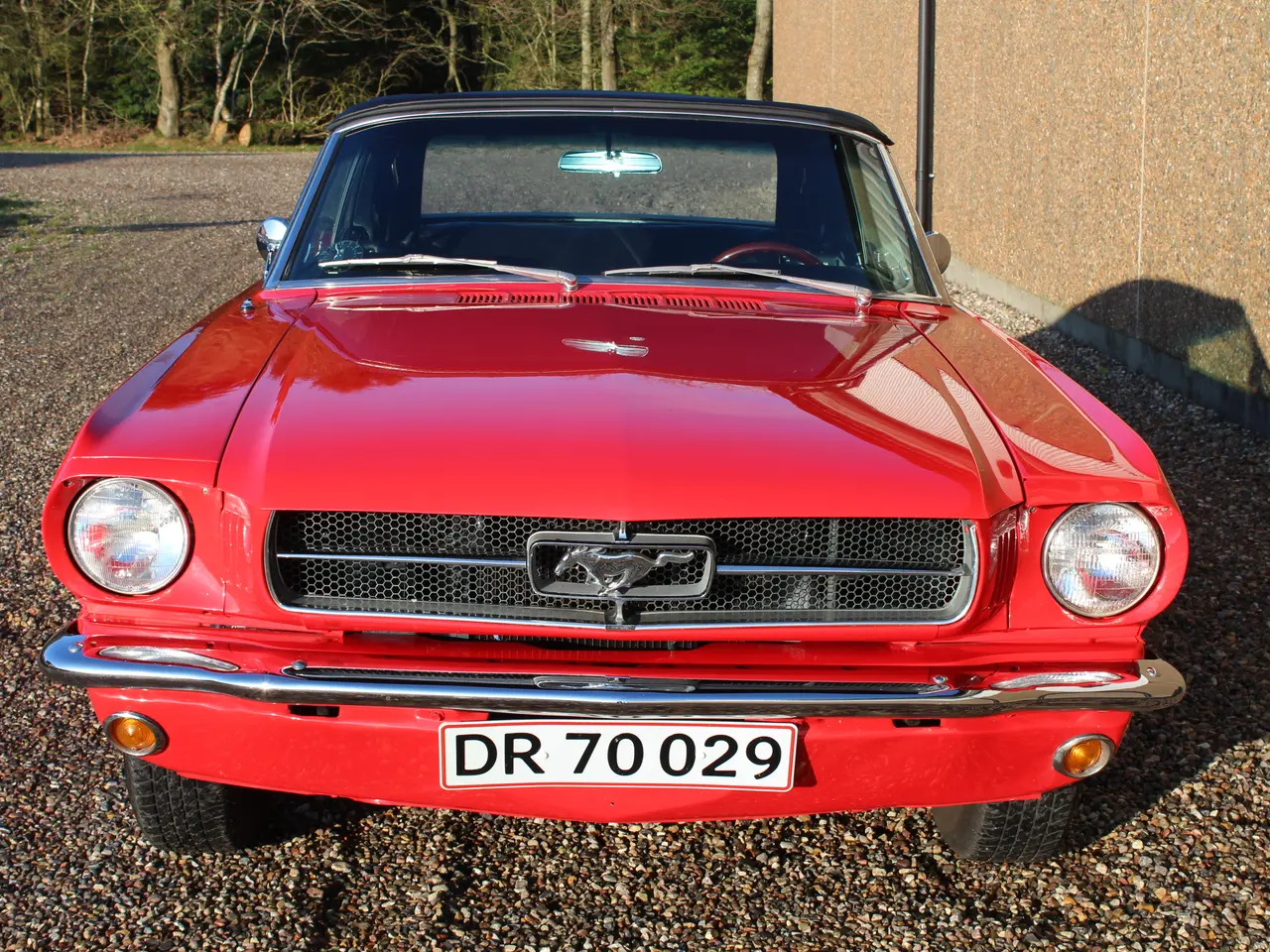 Billede 13 - Ford Mustang Cab 1965