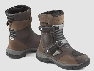 Forma Adventure Low Dry Brun