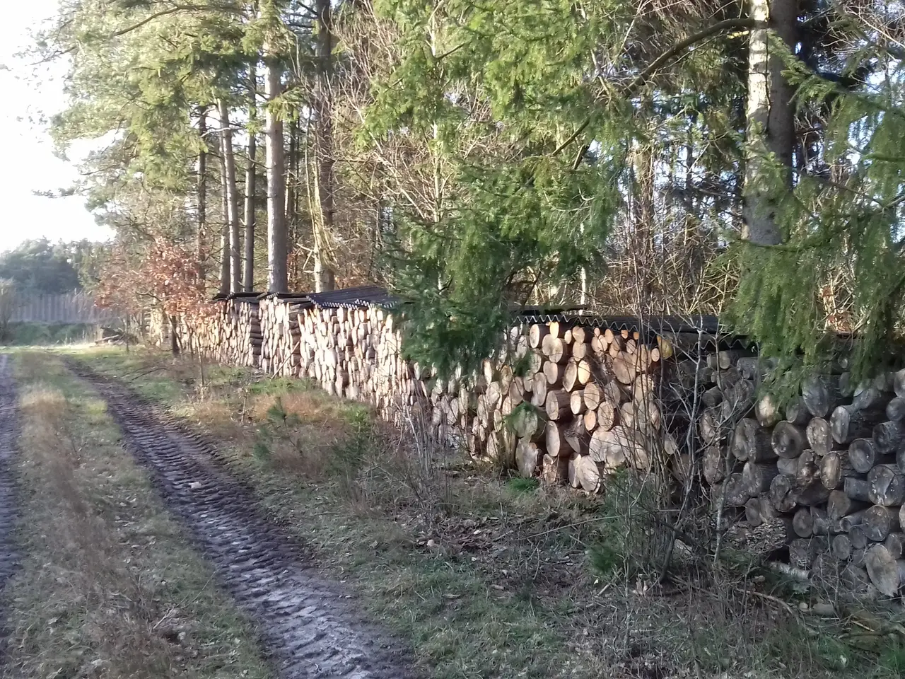 Billede 2 - Brænde til salg.